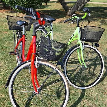 Luka Новиград