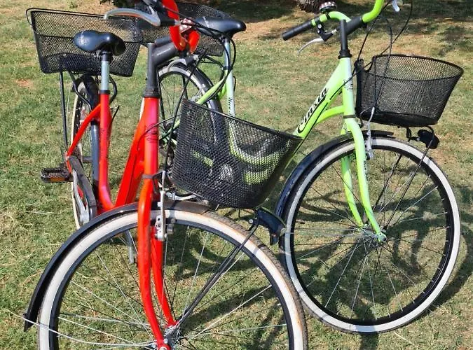 Luka Novigrad Istria