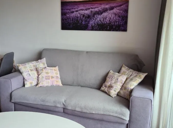 Luka * Novigrad Istria